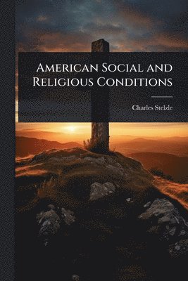 Charles Stelzle - American Social and Religious Conditions, Häftad