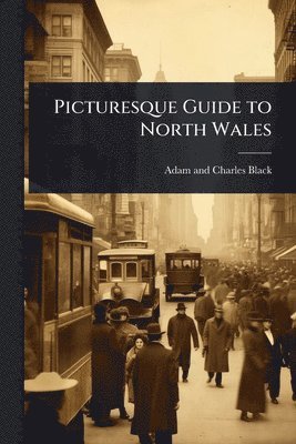 Adam And Charles Black - Picturesque Guide to North Wales, Häftad