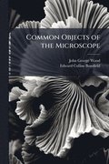 Common Objects of the Microscope