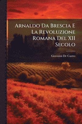 Giovanni De Castro - Arnaldo Da Brescia E La Revoluzione Romana Del XII Secolo, Häftad. Tillgänglighet: Lägg i varukorg