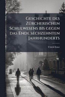 Ulrich Ernst - Geschichte des ZÃ1/4rcherischen Schulwesens bis gegen das Ende sechzehnten Jahrhunderts, Häftad