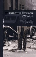 Illustrative Cases on Damages