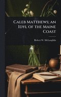 Caleb Matthews; an Idyl of the Maine Coast