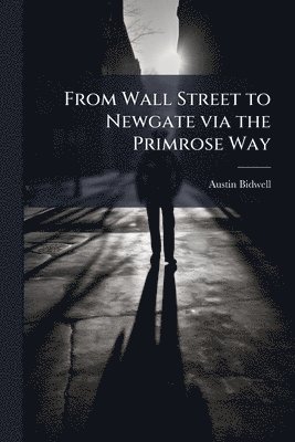 Austin Bidwell - From Wall Street to Newgate via the Primrose Way, Häftad