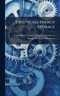 Grid-scale Energy Storage