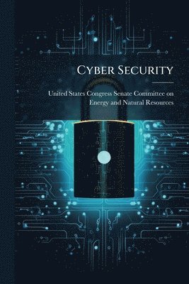 Cyber Security, Häftad