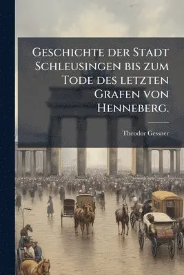 Geschichte der Stadt Schleusingen bis zum Tode des letzten Grafen von Henneberg.