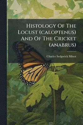 Charles Sedgwick Minot - Histology Of The Locust (caloptenus) And Of The Cricket (anabrus), Häftad. Tillgänglighet: Lägg i varukorg