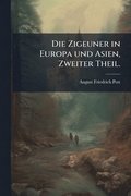 Zigeuner in Europa und Asien, Zweiter Theil.