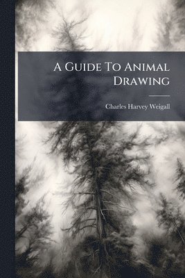 Guide To Animal Drawing