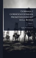 Gornaia i gornozavodskaia promyshlennost' iuga Rossii