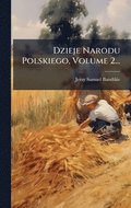 Dzieje Narodu Polskiego, Volume 2...