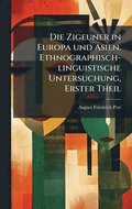 Zigeuner in Europa und Asien. Ethnographisch-linguistische Untersuchung, Erster Theil