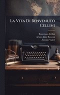 Vita Di Benvenuto Cellini