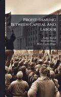 Profit-sharing Between Capital And Labour