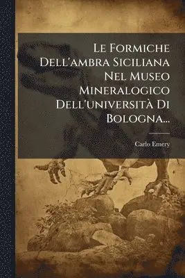 Formiche Dell'ambra Siciliana Nel Museo Mineralogico Dell'universitÃ Di Bologna...