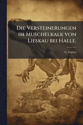 Versteinerungen im Muschelkalk von Lieskau bei Halle.