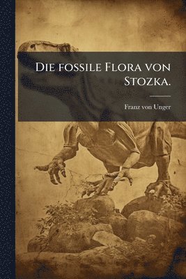 fossile Flora von Stozka.