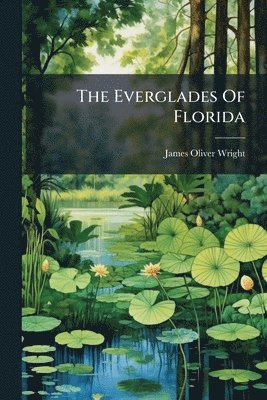 Everglades Of Florida