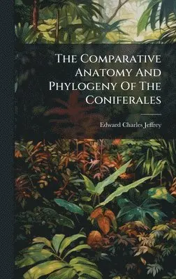 Edward Charles Jeffrey - Comparative Anatomy And Phylogeny Of The Coniferales, Inbunden. Tillgänglighet: Tillfälligt slut