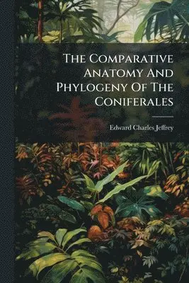 Edward Charles Jeffrey - Comparative Anatomy And Phylogeny Of The Coniferales, Häftad. Tillgänglighet: Tillfälligt slut