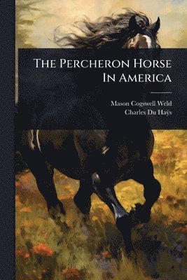 Percheron Horse In America
