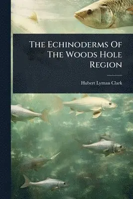Hubert Lyman Clark - Echinoderms Of The Woods Hole Region, Häftad. Tillgänglighet: Lägg i varukorg