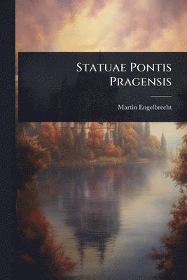 Martin Engelbrecht - Statuae Pontis Pragensis, Häftad