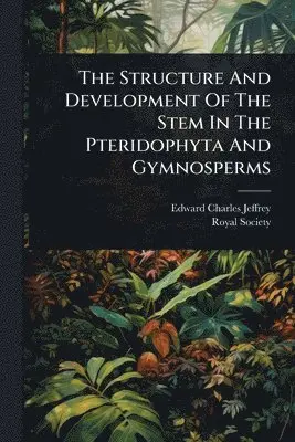 Structure And Development Of The Stem In The Pteridophyta And Gymnosperms