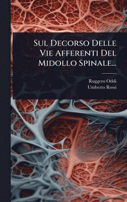 Ruggero Oddi, Umberto Rossi - Sul Decorso Delle Vie Afferenti Del Midollo Spinale..., Inbunden