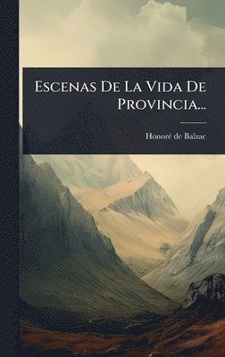 Escenas De La Vida De Provincia...