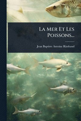 Mer Et Les Poissons...