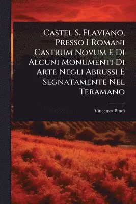 Vincenzo Bindi - Castel S. Flaviano, Presso I Romani Castrum Novum E Di Alcuni Monumenti Di Arte Negli Abrussi E Segnatamente Nel Teramano, Häftad. Tillgänglighet: Lägg i varukorg