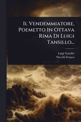 Luigi Tansillo, Niccolã² Franco - Vendemmiatore, Poemetto In Ottava Rima Di Luigi Tansillo..., Häftad