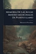 Memoria De Las Aguas Minero-medicinales De Puerto-llano