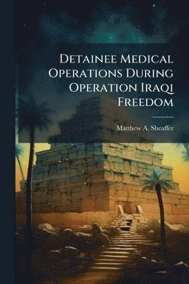 Detainee Medical Operations During Operation Iraqi Freedom