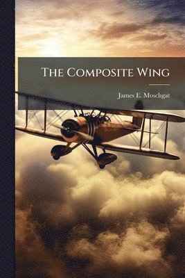 Composite Wing