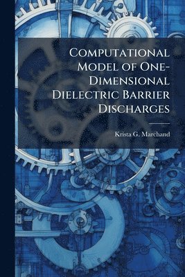 Computational Model of One-Dimensional Dielectric Barrier Discharges