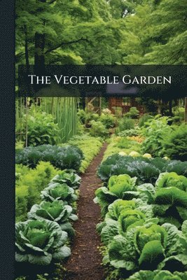 Vegetable Garden