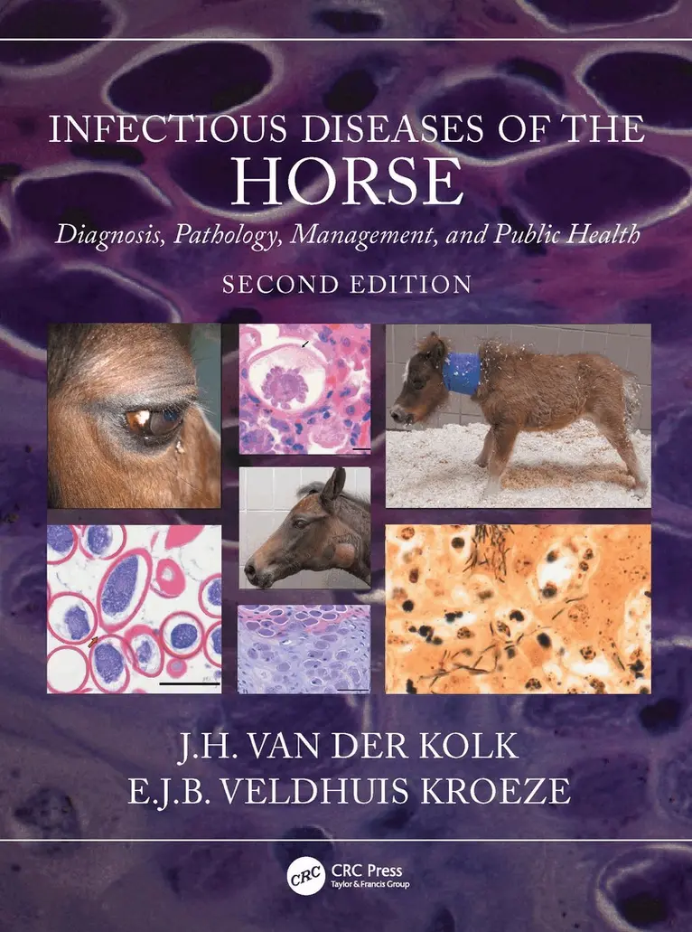J.H. van der Kolk, E.J.B. Veldhuis Kroeze - Infectious Diseases of the Horse, Inbunden. Tillgänglighet: Lägg i varukorg