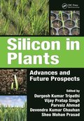 Silicon in Plants