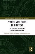 Youth Violence in Context
