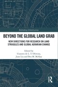 Beyond the Global Land Grab