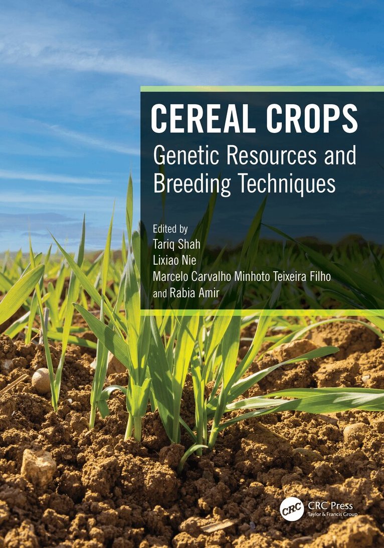 Tariq Shah, Lixiao Nie, Marcelo Teixeira Filho, Rabia Amir - Cereal Crops, Inbunden