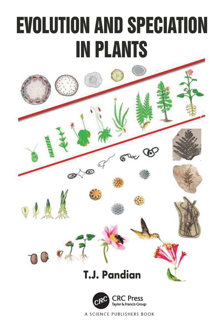 T.J. Pandian - Evolution and Speciation in Plants, Inbunden