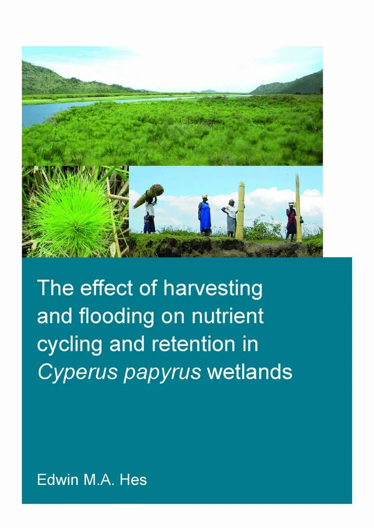 Edwin M.A. Hes - effect of harvesting and flooding on nutrient cycling and retention in Cyperus papyrus wetlands, Häftad. Tillgänglighet: Lägg i varukorg