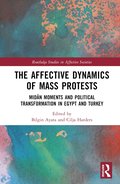 Affective Dynamics of Mass Protests