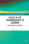 Essays in the Phenomenology of Learning