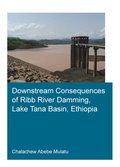 Downstream Consequences of Ribb River Damming, Lake Tana Basin, Ethiopia