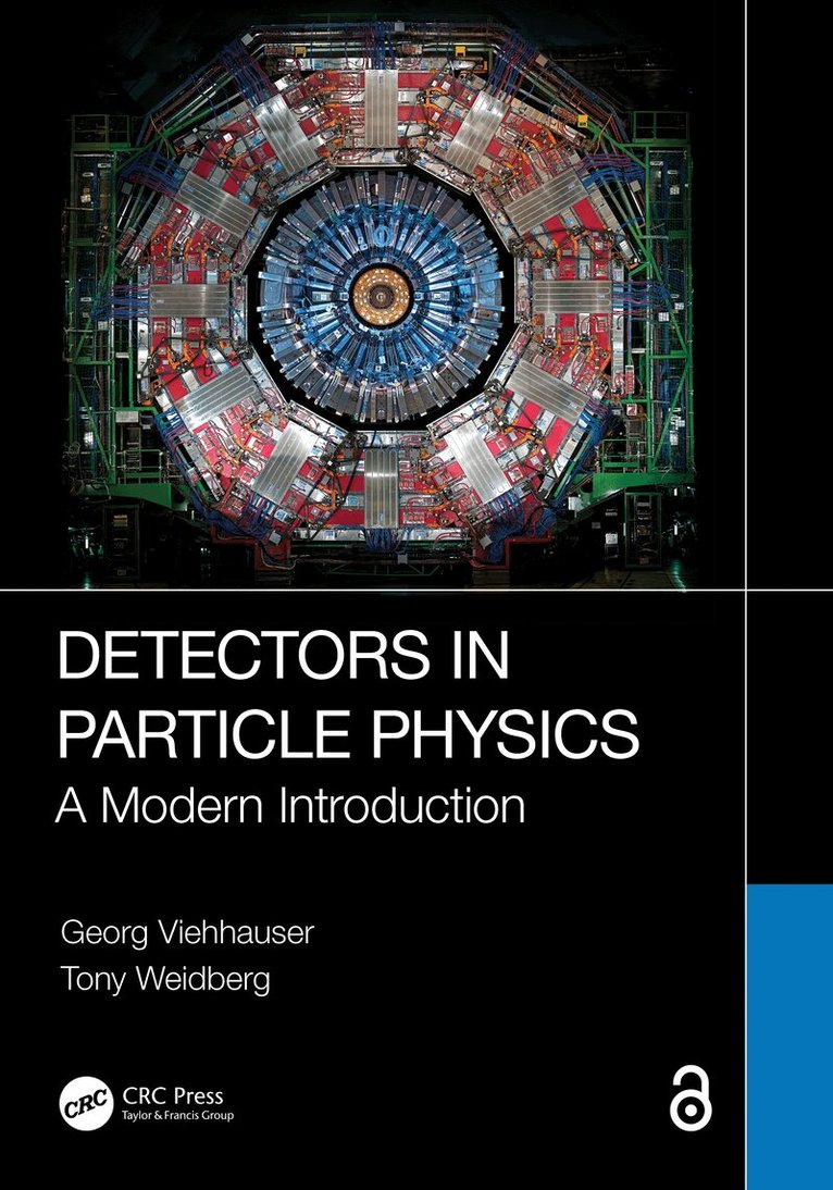 Georg Viehhauser, Tony Weidberg - Detectors in Particle Physics, Häftad